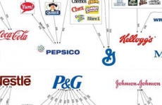 Brands of the world