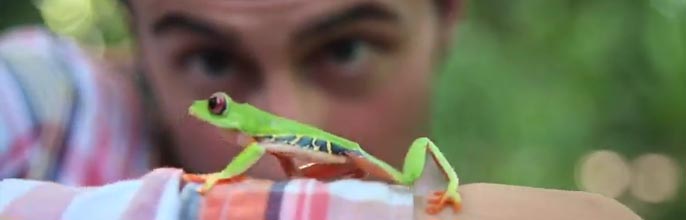 Follow the Frog